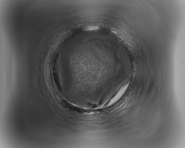 X0000093171441200710171219
