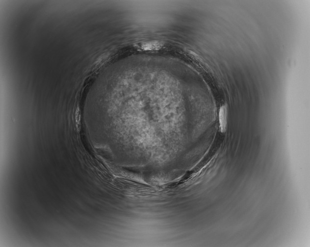 X0000093171443200710171219