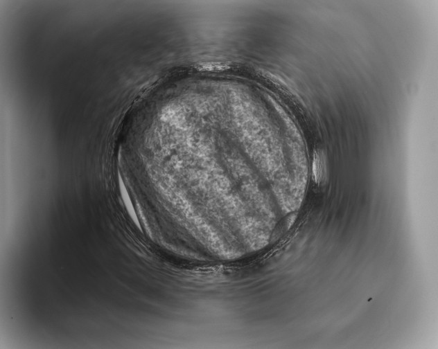 X0000093171444200710171219