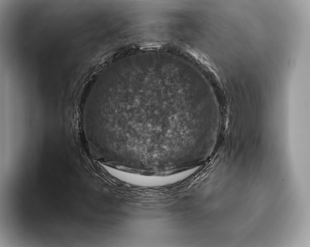 X0000093171445200710171219