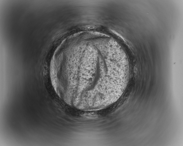 X0000093171447200710171219