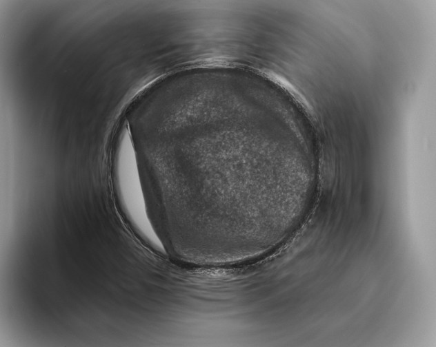 X0000093171450200710171219