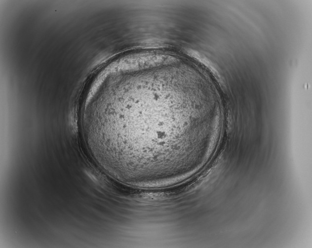 X0000093171451200710171219