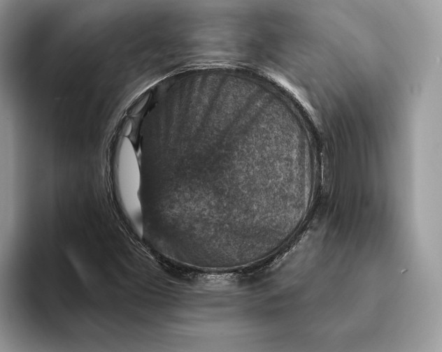 X0000093171453200710171219