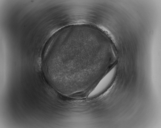 X0000093171457200710171219