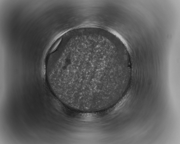 X0000093171461200710171219