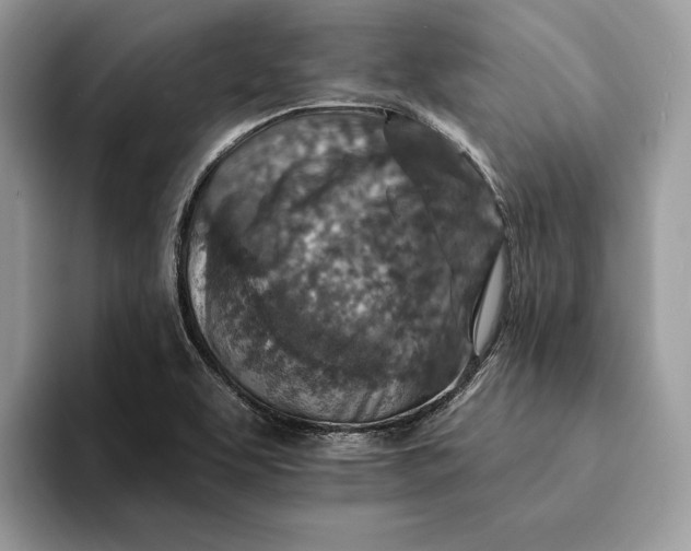 X0000093171463200710171219