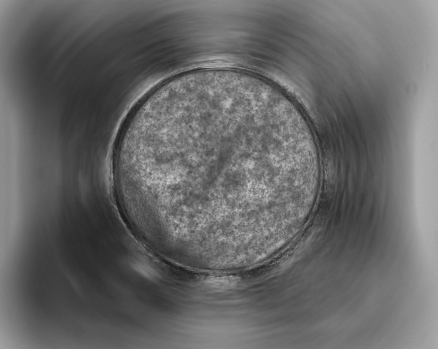 X0000093171466200710171219