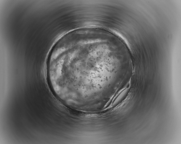 X0000093171467200710171219