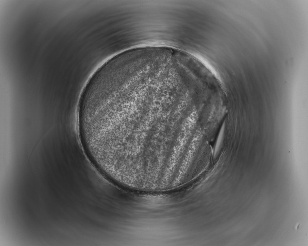 X0000093171468200710171219