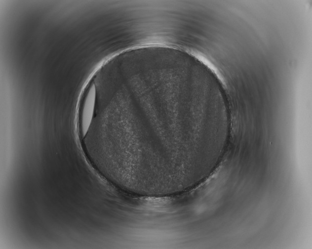 X0000093171469200710171219