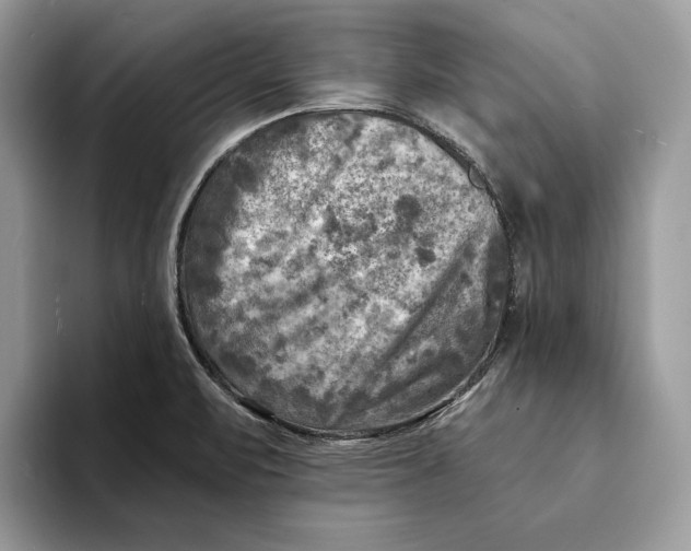 X0000093171471200710171219