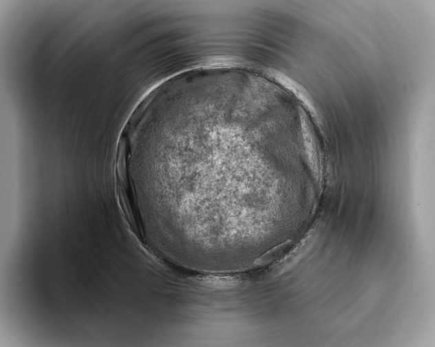X0000093171473200710171219