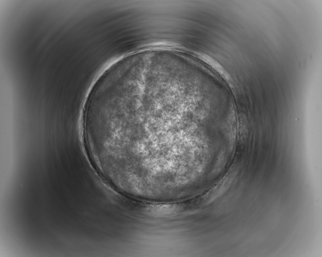 X0000093171474200710171219