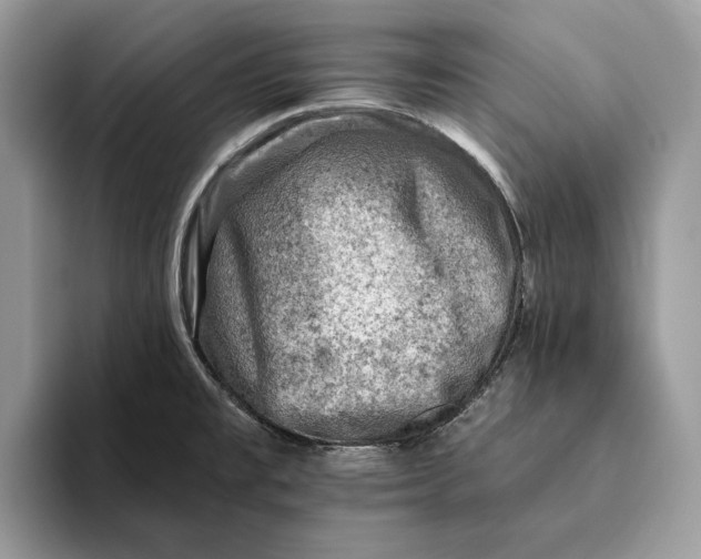 X0000093171477200710171219