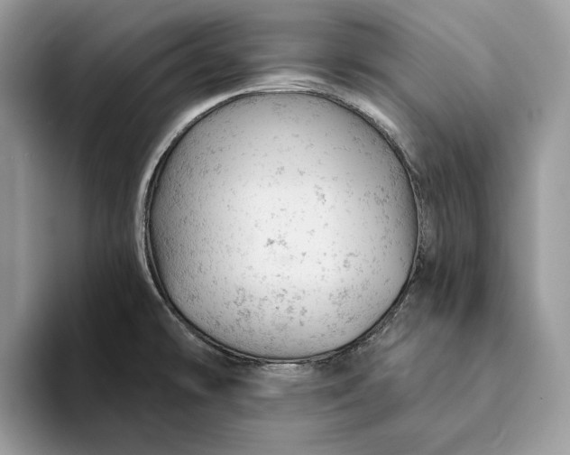 X0000093171478200710171219