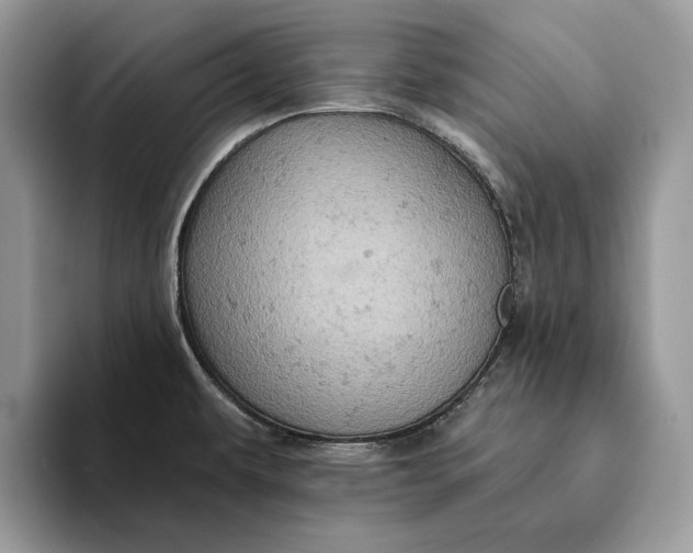 X0000093171479200710171219
