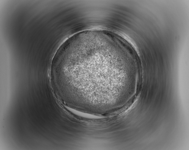 X0000093171481200710171219