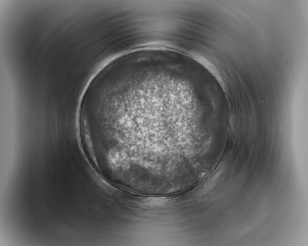 X0000093171482200710171219