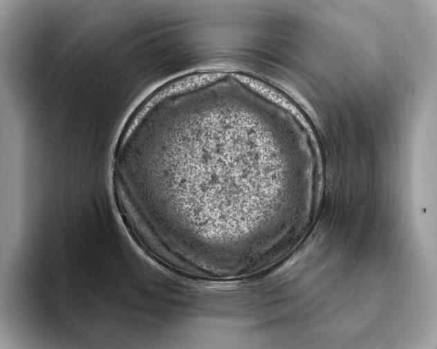 X0000093171484200710171219