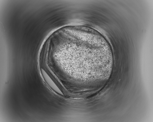X0000093171488200710171219