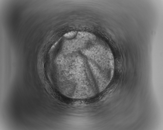 X0000093171489200710171218