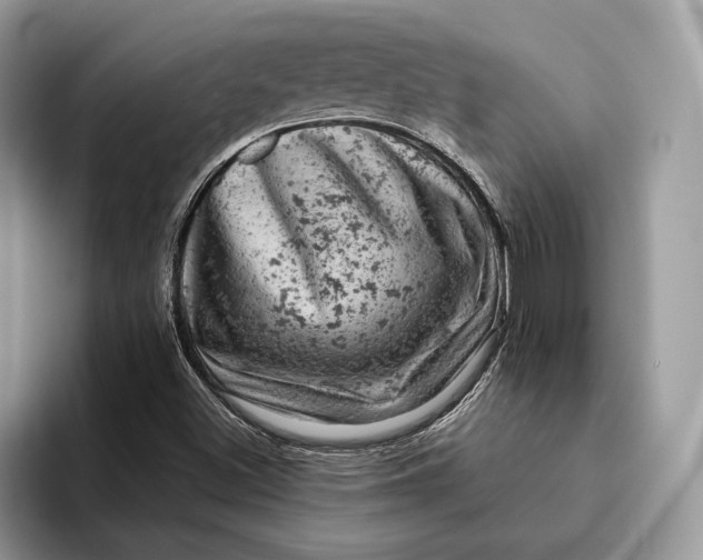 X0000093171500200710171218