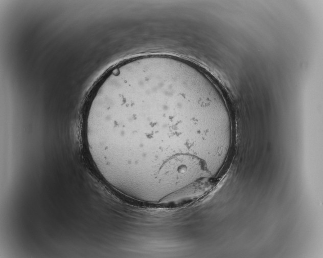 X0000093171502200710171218