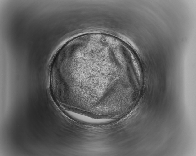 X0000093171504200710171218
