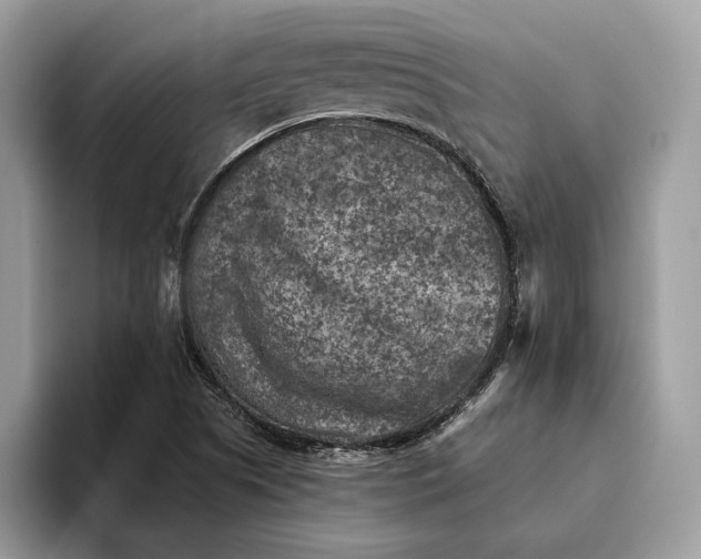 X0000093171505200710171218
