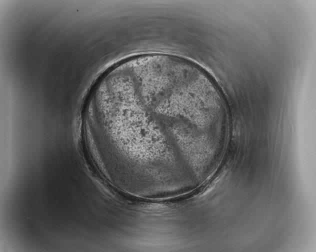 X0000093171507200710171218