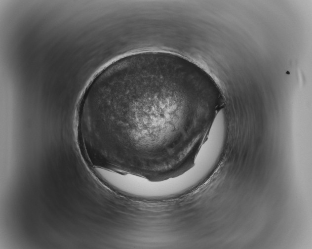 X0000093171508200710171218