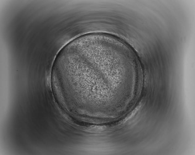 X0000093171513200710171218