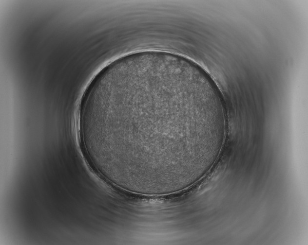 X0000093171515200710171218