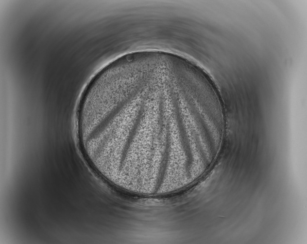 X0000093171517200710171218