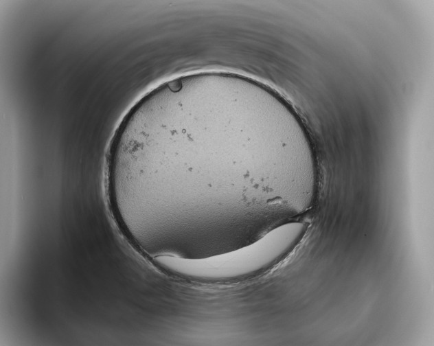 X0000093171518200710171218