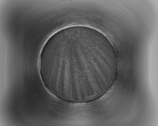 X0000093171519200710171218