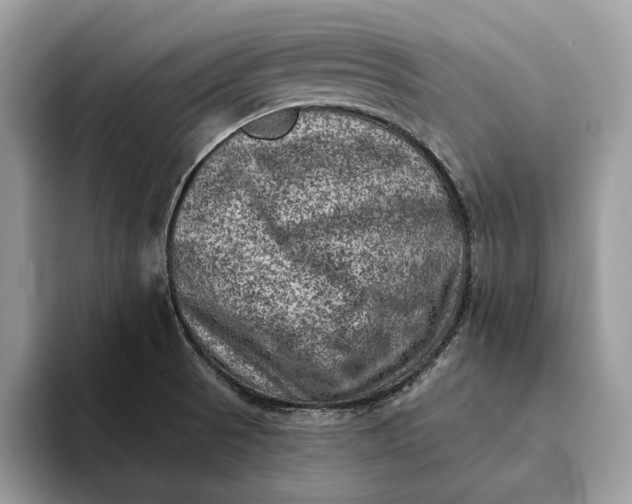X0000093171521200710171218