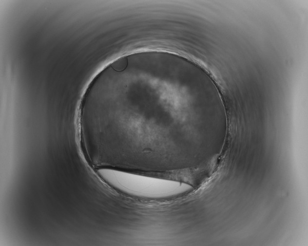 X0000093171522200710171218