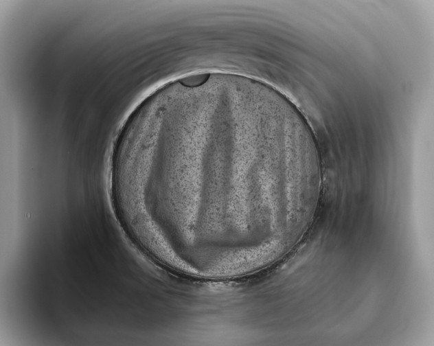 X0000093171523200710171218