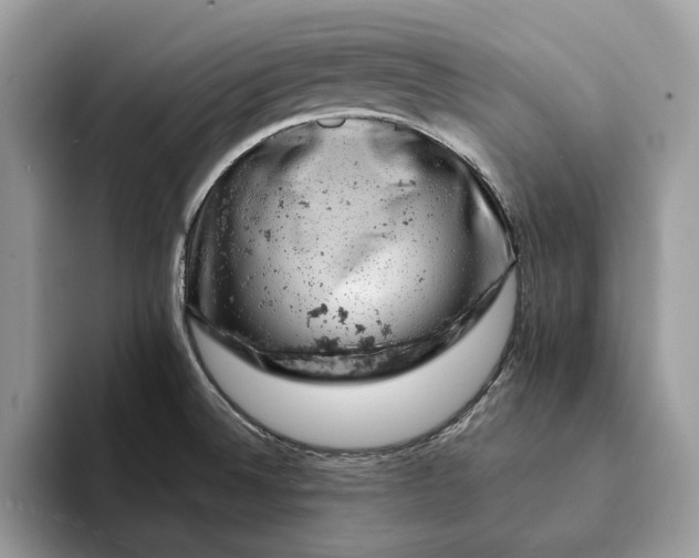 X0000093171524200710171218