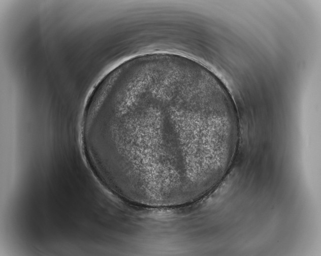X0000093171525200710171218
