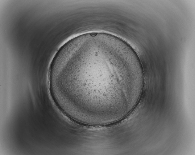 X0000093171526200710171219