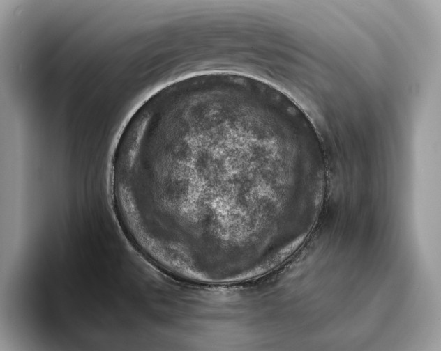 X0000093171527200710171219