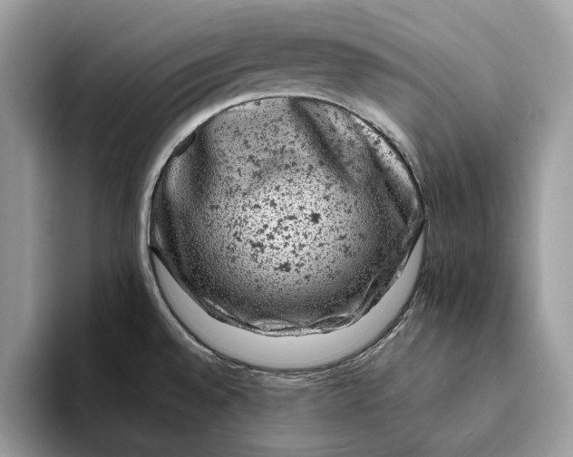 X0000093171528200710171219