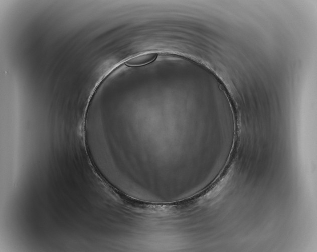 X0000093171529200710171219