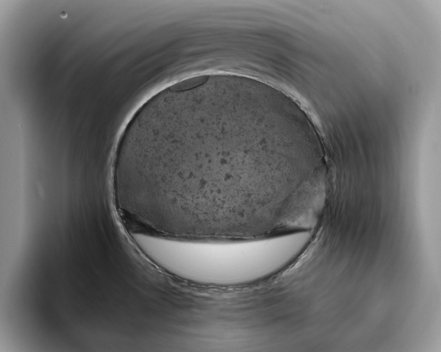 X0000093171530200710171219