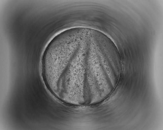 X0000093171531200710171219