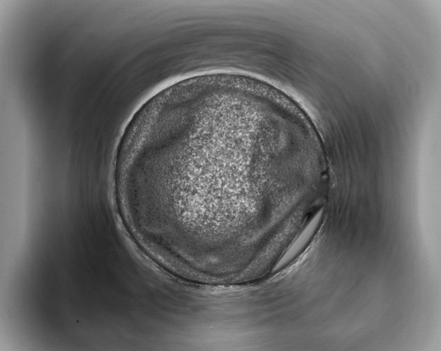 X0000093171534200710171219