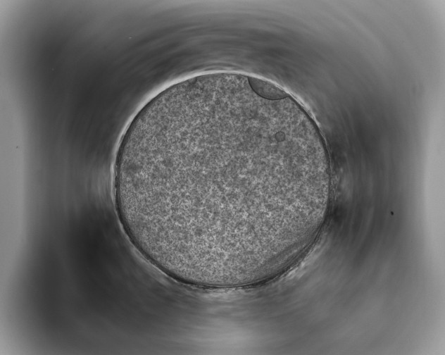 X0000093171535200710171219